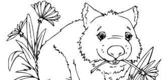 Malbuch Wombat frisst Blumen zum Ausdrucken