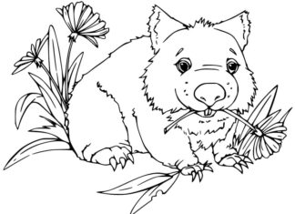 Tulostettava värityskirja Wombat syö kukkia