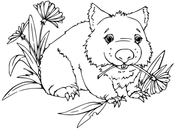 Kolorowanka Wombat zajada się kwiatkami do druku