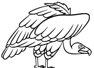 Online coloring book Scared vulture for kids