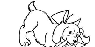 Coloring Book Doggie Fun to print and online