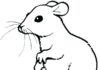 Online värityskirja Funny Rat