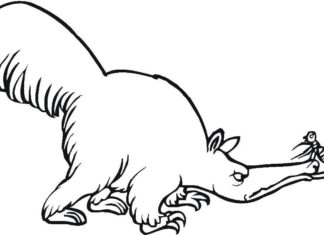 Bad anteater coloring book from fairy tale to print