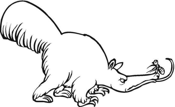 Omalovánky k vytisknutí Bad anteater pohádka