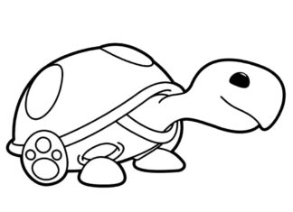 Želva Uki Turtle Omalovánky k vytištění