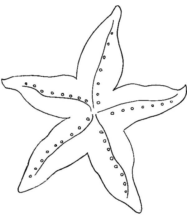 Online omalovánky Starfish XXl