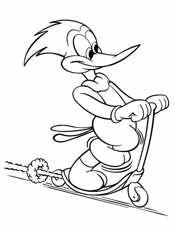 Woody Woodpecker livro de colorir em uma scooter