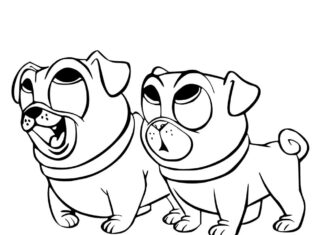 Livro de colorir Bingo e Rolly the dogs