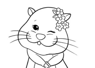 Livre de coloriage Zhu Zhu Pets Hamster