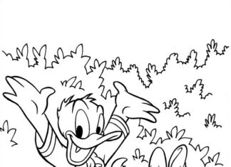 Libro para colorear del Pato Donald y Daisy