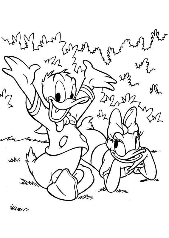 Libro para colorear del Pato Donald y Daisy