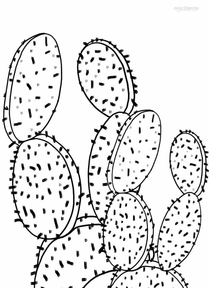 Malbuch Kaktus in der Wüste