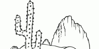 Coloring Book Cactus in the Mountains