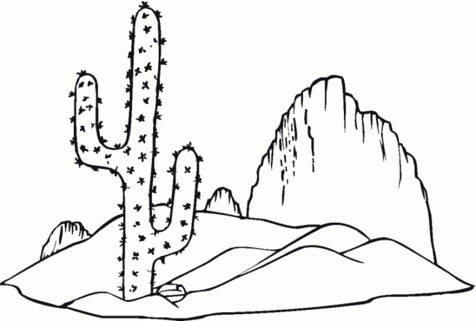 Livre de coloriage Cactus dans les montagnes