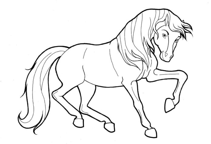 Livro de colorir Cavalo Spirit Riding Free