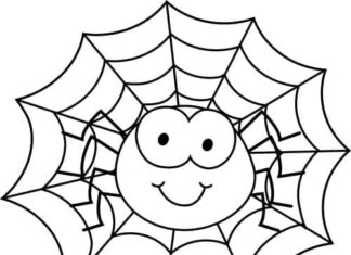 Coloring book Little spider fairy tale for children