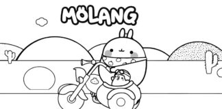 Omalovánky Motorka s košíkem Molang