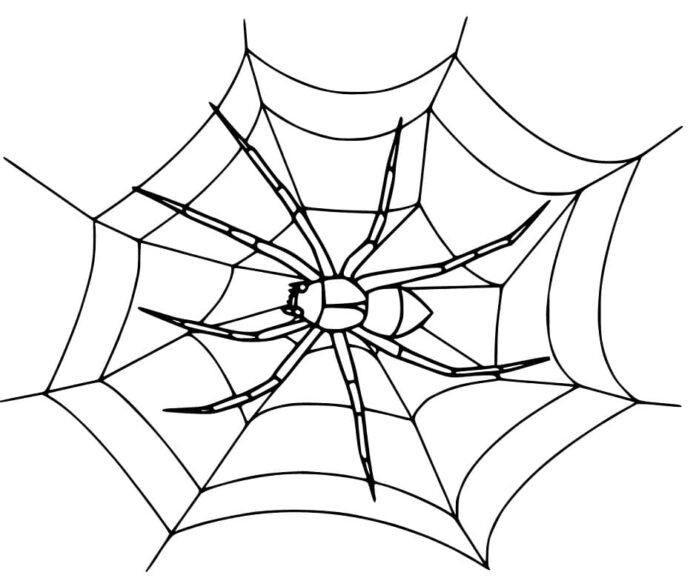 印刷できる蜘蛛の巣の塗り絵（子供向け