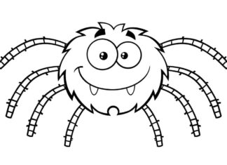 Kreslené pavoučí omalovánky pro děti