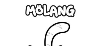 Livre de coloriage Piu Piu avec Molang pour enfants