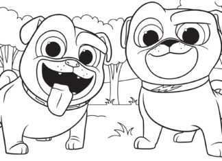 Livre de coloriage "Friends" Puppy Dog Pals