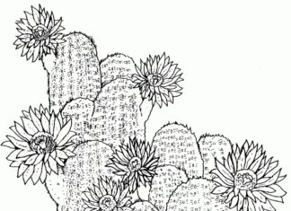 Realistisk kaktus malebog til udskrivning