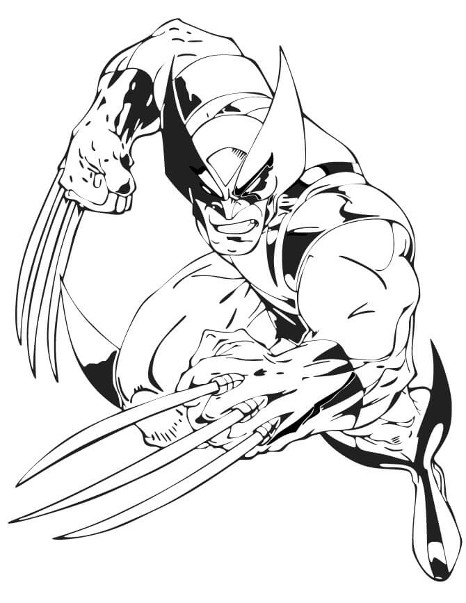 Wolverine attaque avec des griffes livre à colorier imprimable