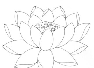 coloriage de la fleur de lotus rouge imprimable