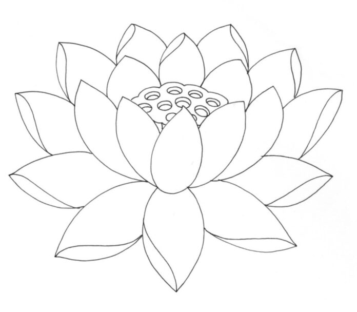 utskrivbar röd lotusblomma att färglägga