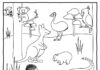 Coloring page Australian animals