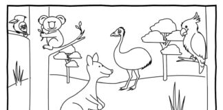 Coloring page Australian animals