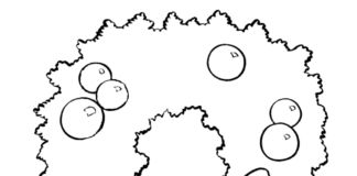 Feuille de coloriage Couronne de Noël imprimable pour les enfants modèle