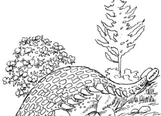 Färgbok av ankylosaurus i en glänta som kan skrivas ut
