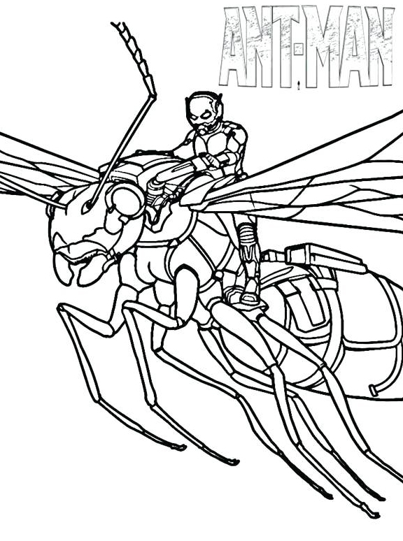 kolorowanka ant man na mrówce do druku