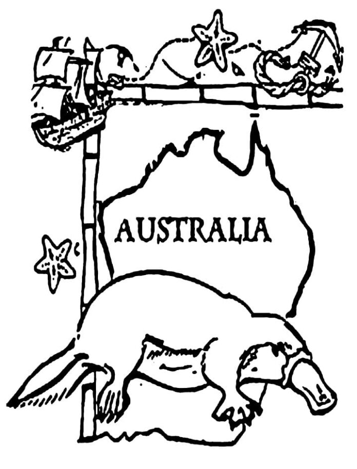 kolorowanka australijski dziobak