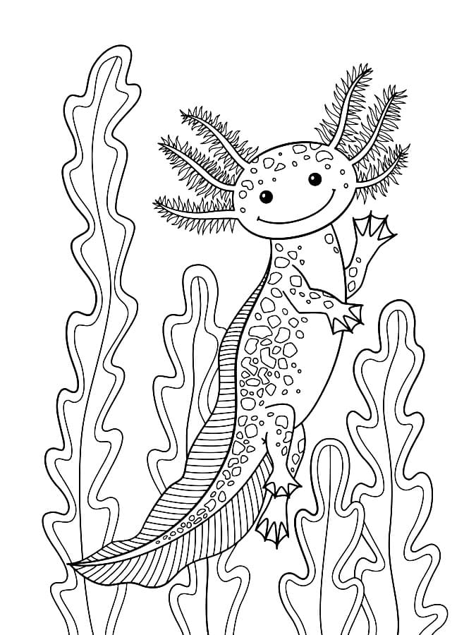 Coloring book axolotl swimming among seaweed