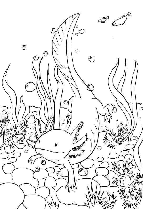 kolorowanka axolotl pływający z rybkami po rafie