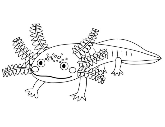 Druckfähiges Malbuch Axolotl mit Flecken auf dem Kopf