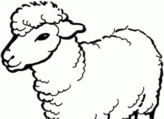 Coloring book of a lamb waiting for a shepherd