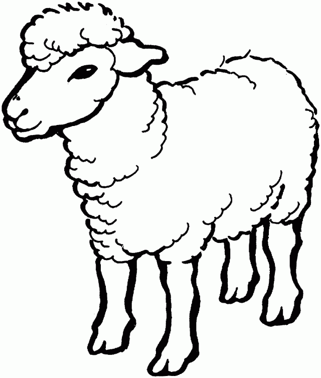 színező bárány vár a pásztorra