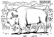Omalovánky k vytisknutí s motivem bizona procházejícího lesem