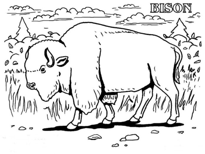 Libro da colorare stampabile di un bufalo che cammina nella foresta