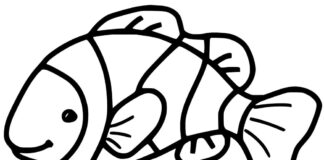 coloring page clownfish flapping its fins
