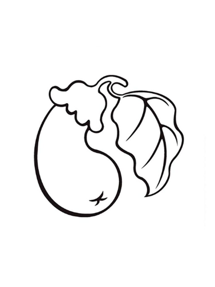 coloring page lush eggplant leaf