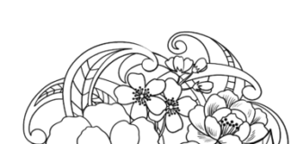 coloring book bouquet of daisy flowers