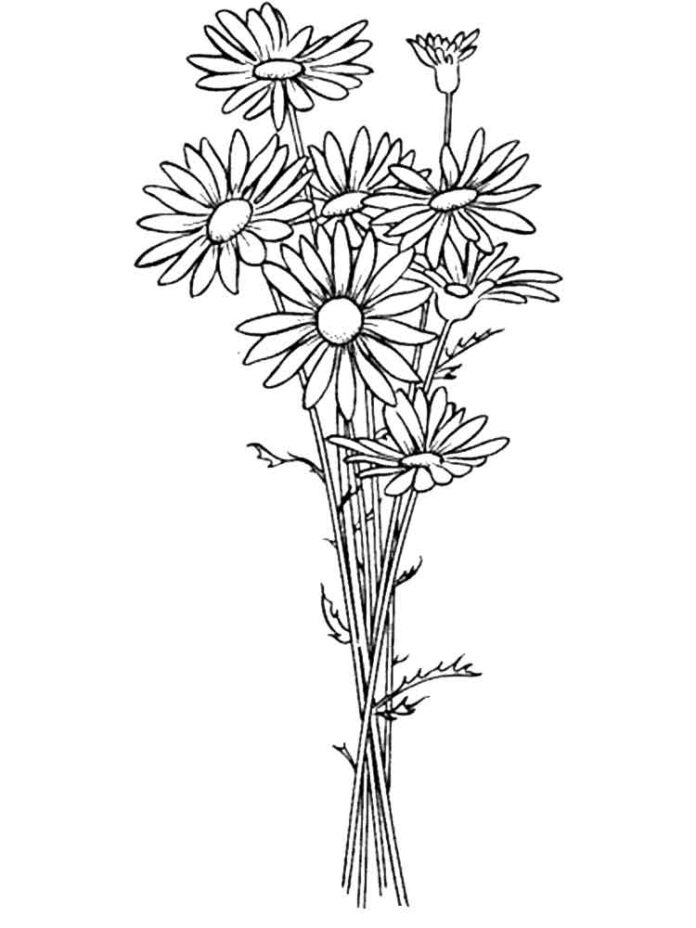 Coloring book bouquet of beautiful daisies