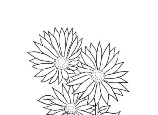 Printable daisy bouquet coloring book for girls