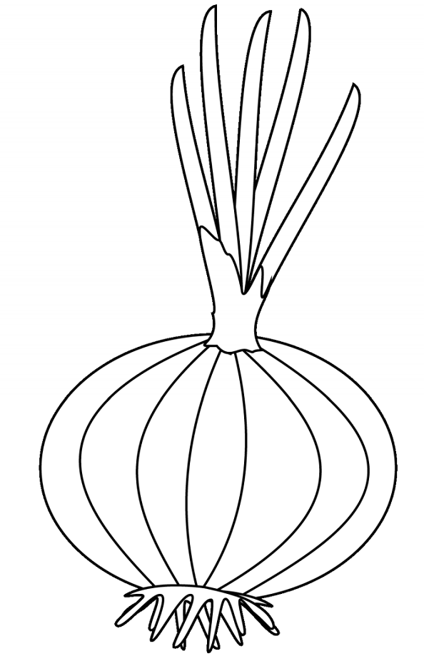 printable red onion coloring book