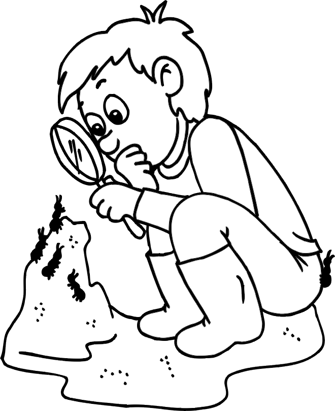 Coloring book of a boy observing an anthill