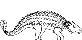 livre de coloriage imprimable d'un ankylosaure qui marche